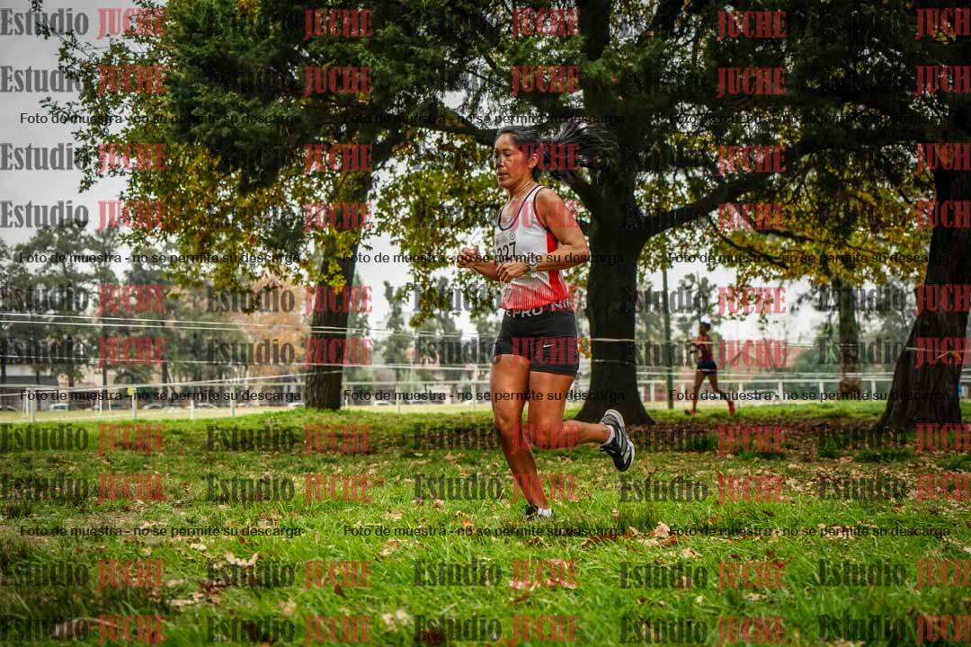 Fotos en el sexto punto del circuito