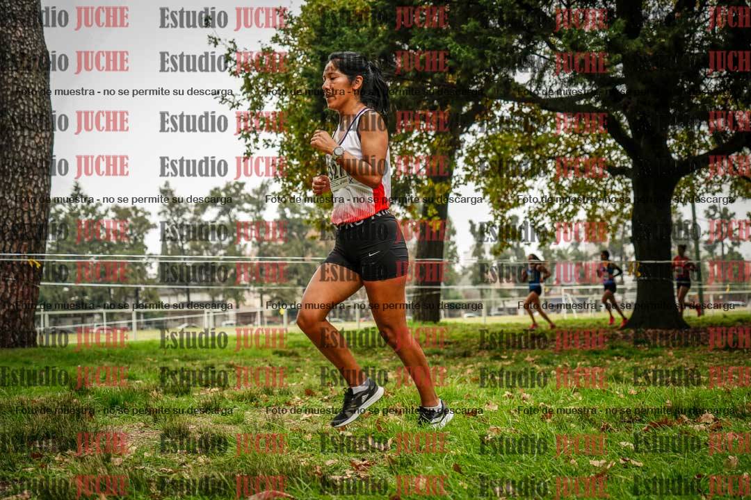 Fotos en el sexto punto del circuito