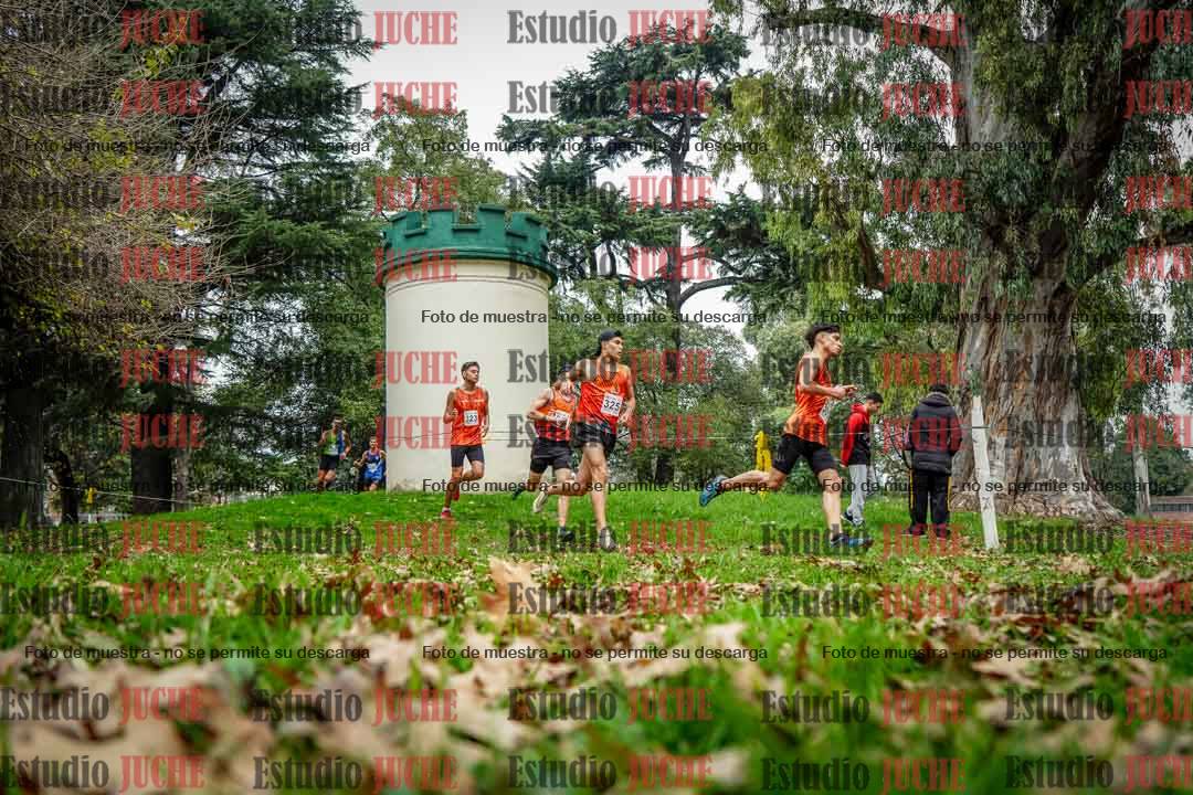 Fotos en el octavo punto del circuito