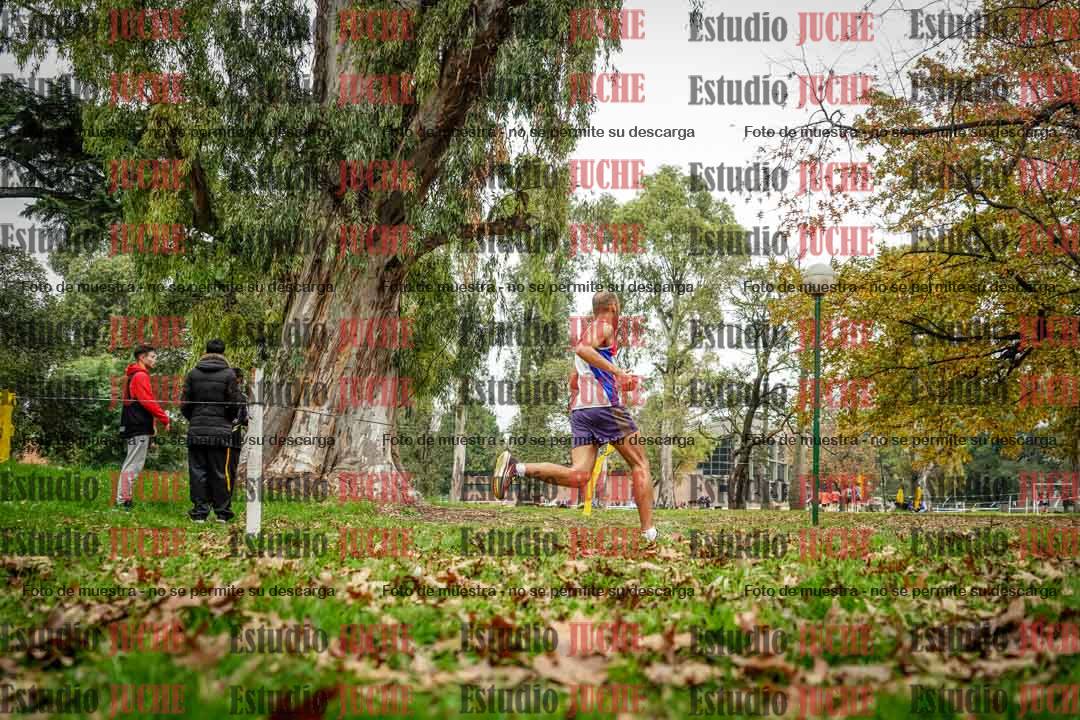 Fotos en el octavo punto del circuito
