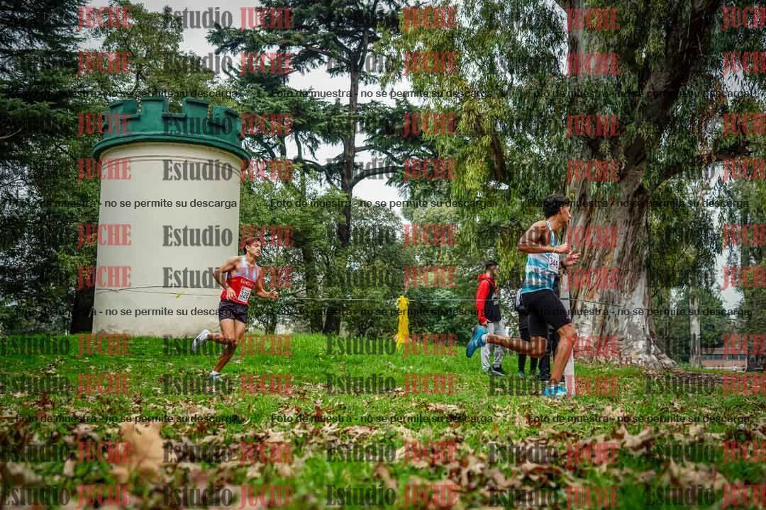 Fotos en el octavo punto del circuito