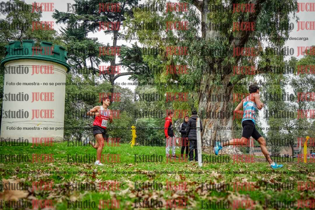 Fotos en el octavo punto del circuito