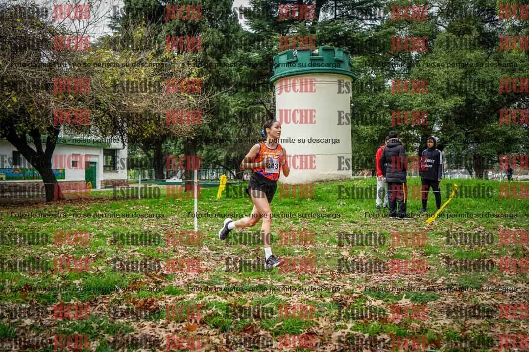 Fotos en el octavo punto del circuito
