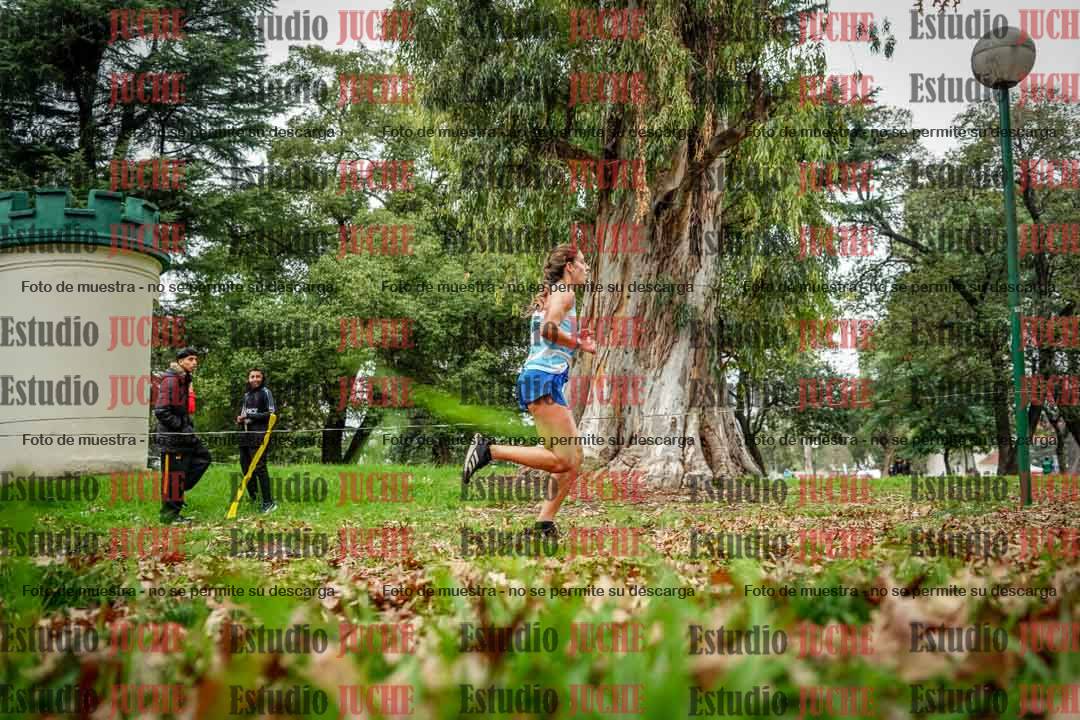 Fotos en el octavo punto del circuito