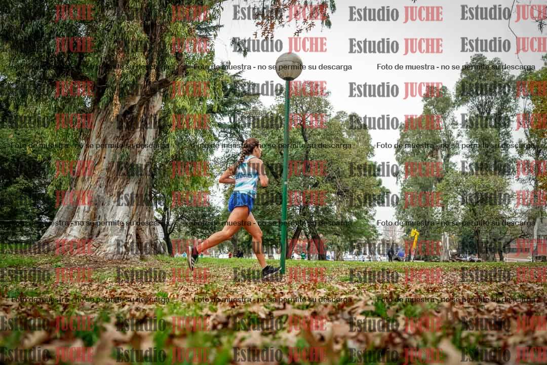 Fotos en el octavo punto del circuito