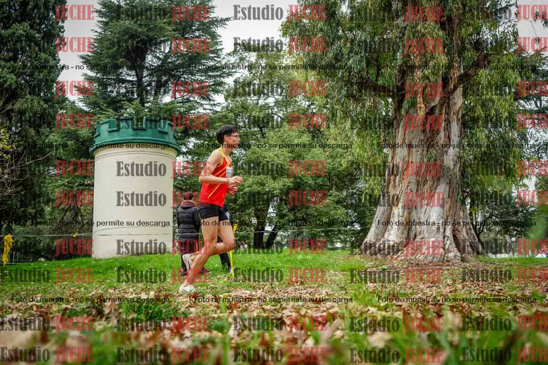 Fotos en el octavo punto del circuito