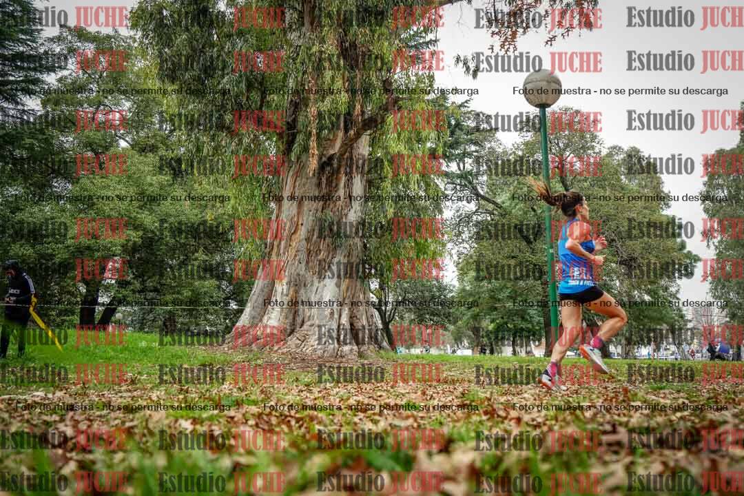 Fotos en el octavo punto del circuito