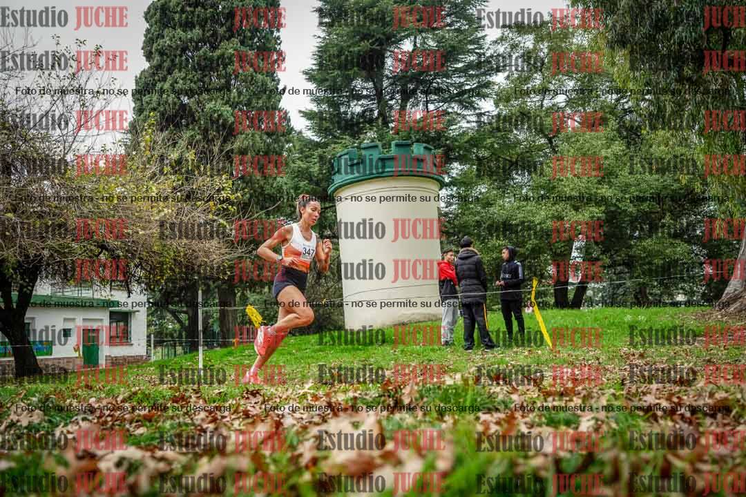 Fotos en el octavo punto del circuito