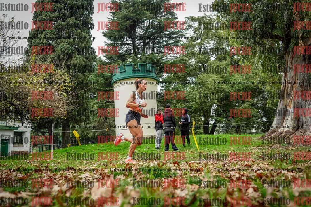 Fotos en el octavo punto del circuito