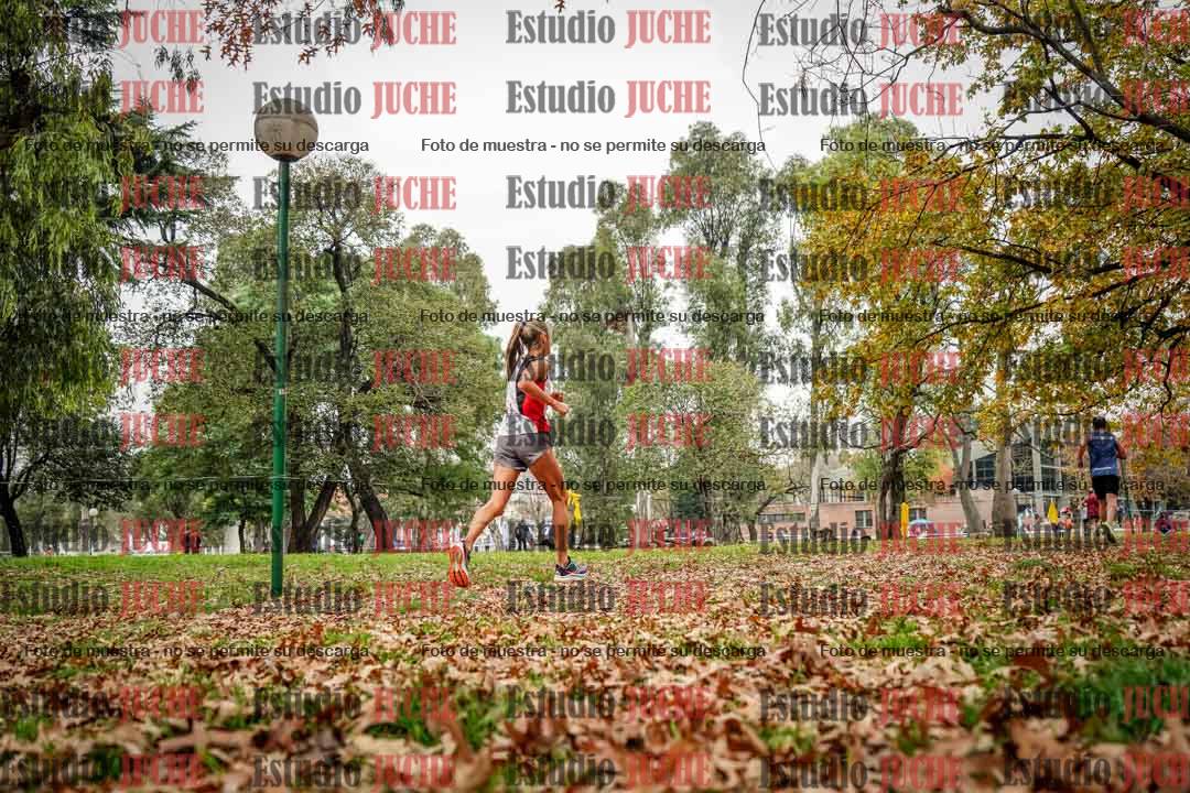 Fotos en el octavo punto del circuito