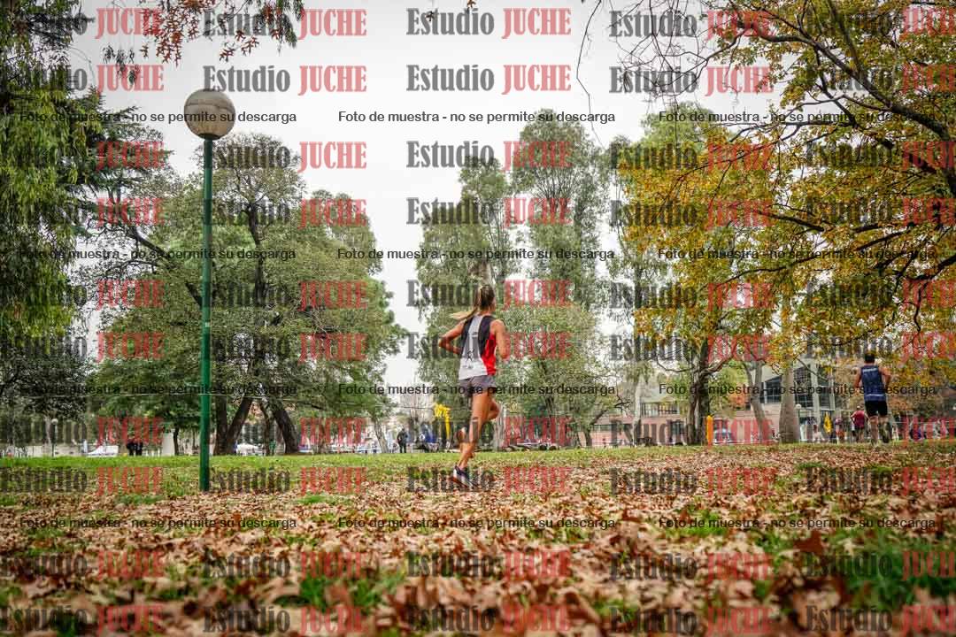 Fotos en el octavo punto del circuito