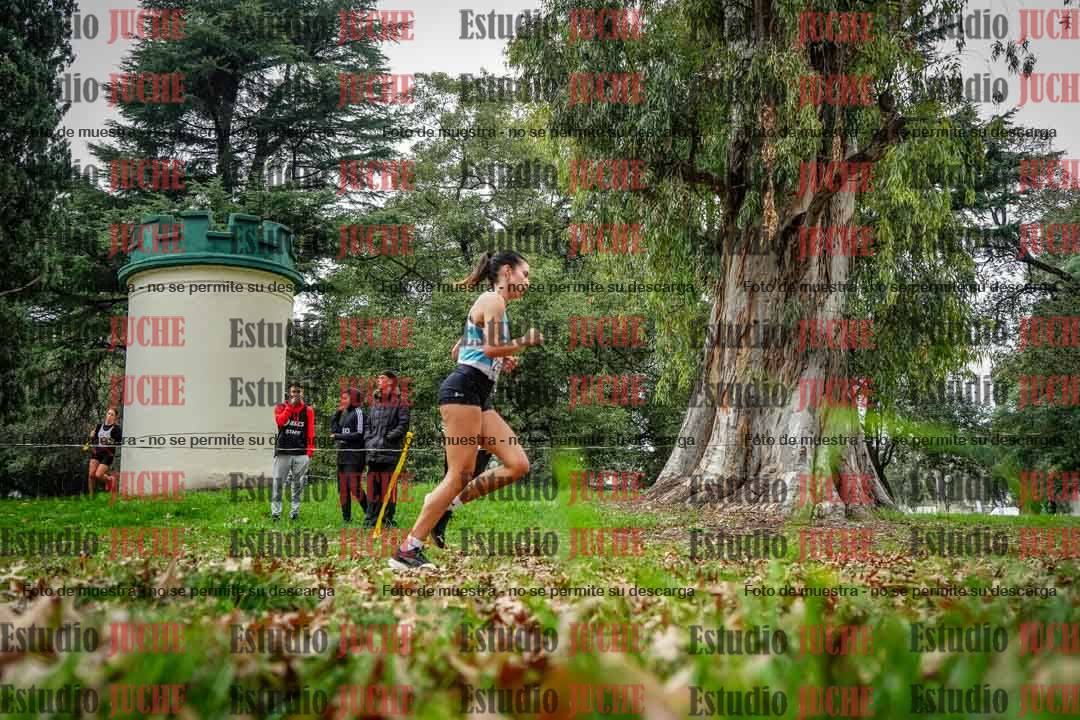 Fotos en el octavo punto del circuito