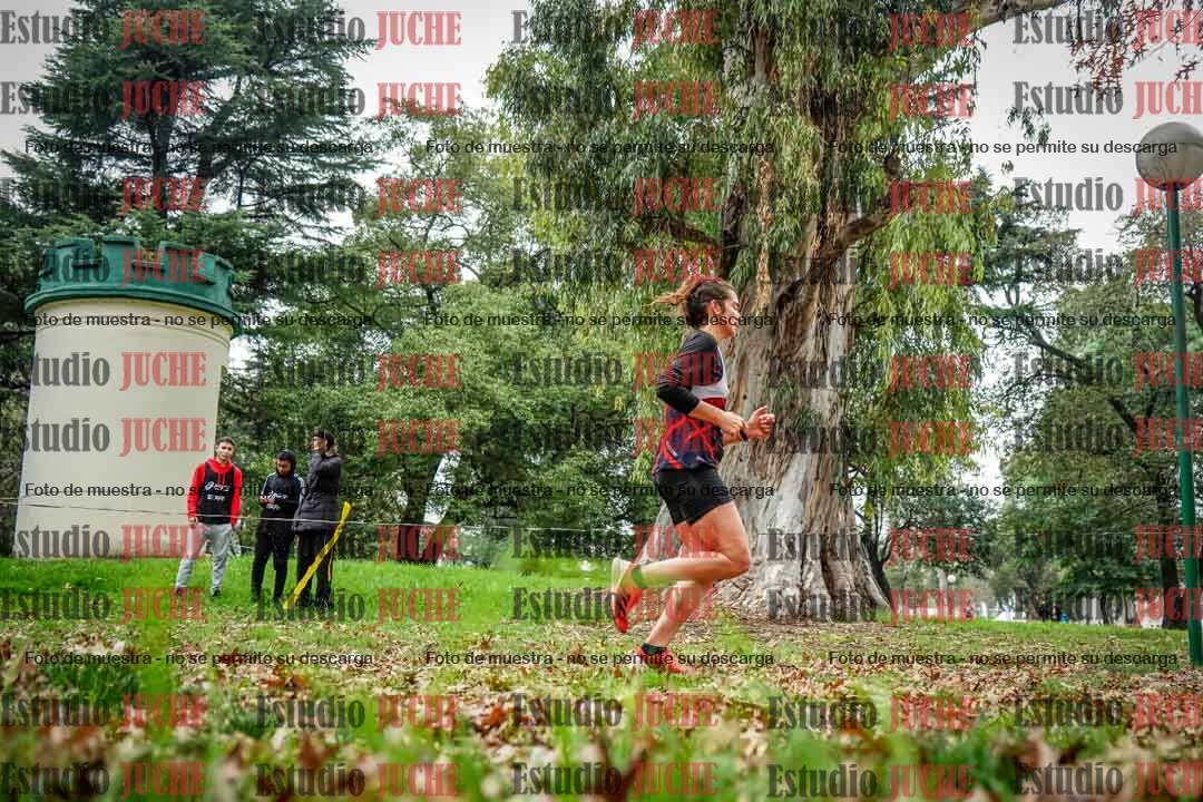 Fotos en el octavo punto del circuito