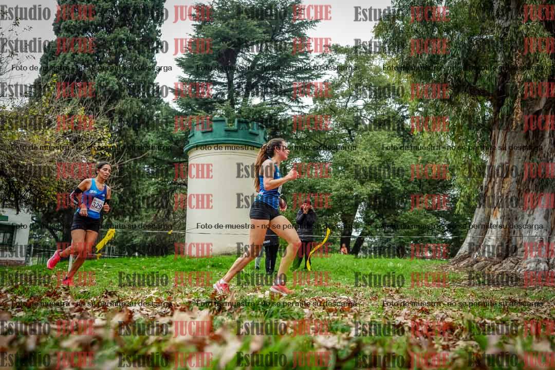 Fotos en el octavo punto del circuito