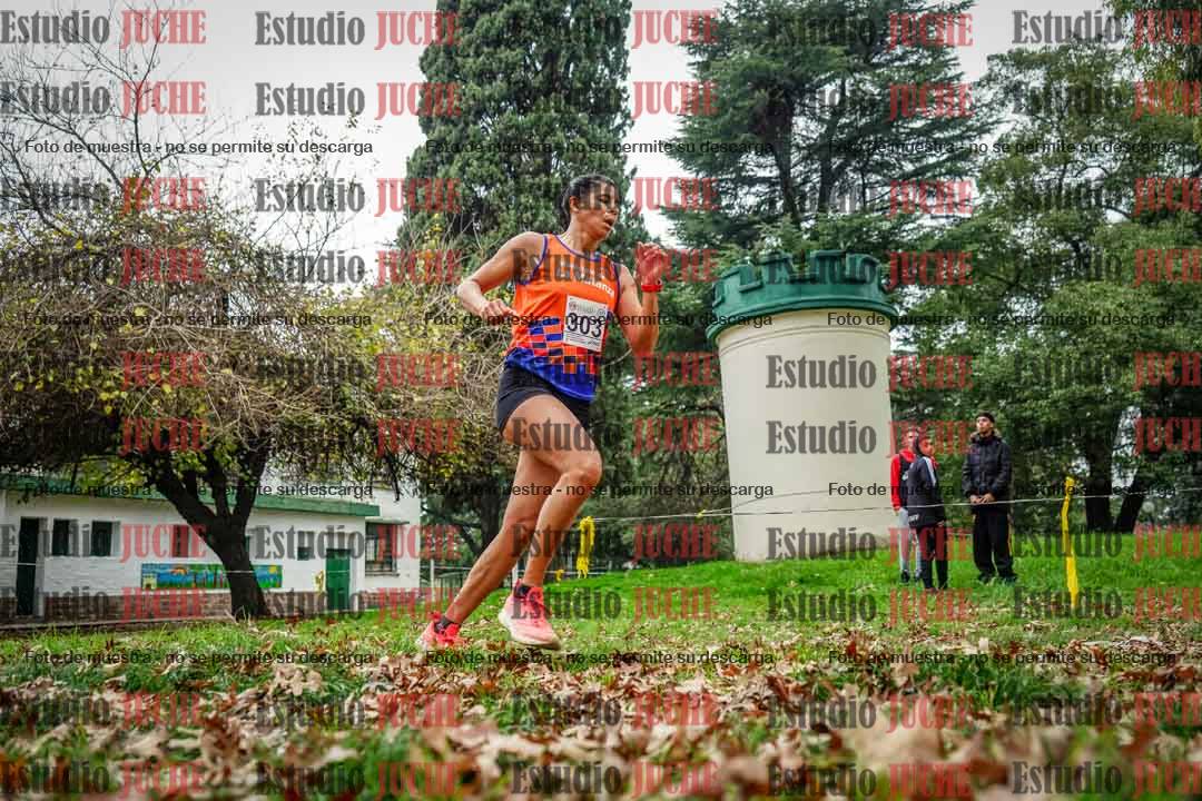 Fotos en el octavo punto del circuito