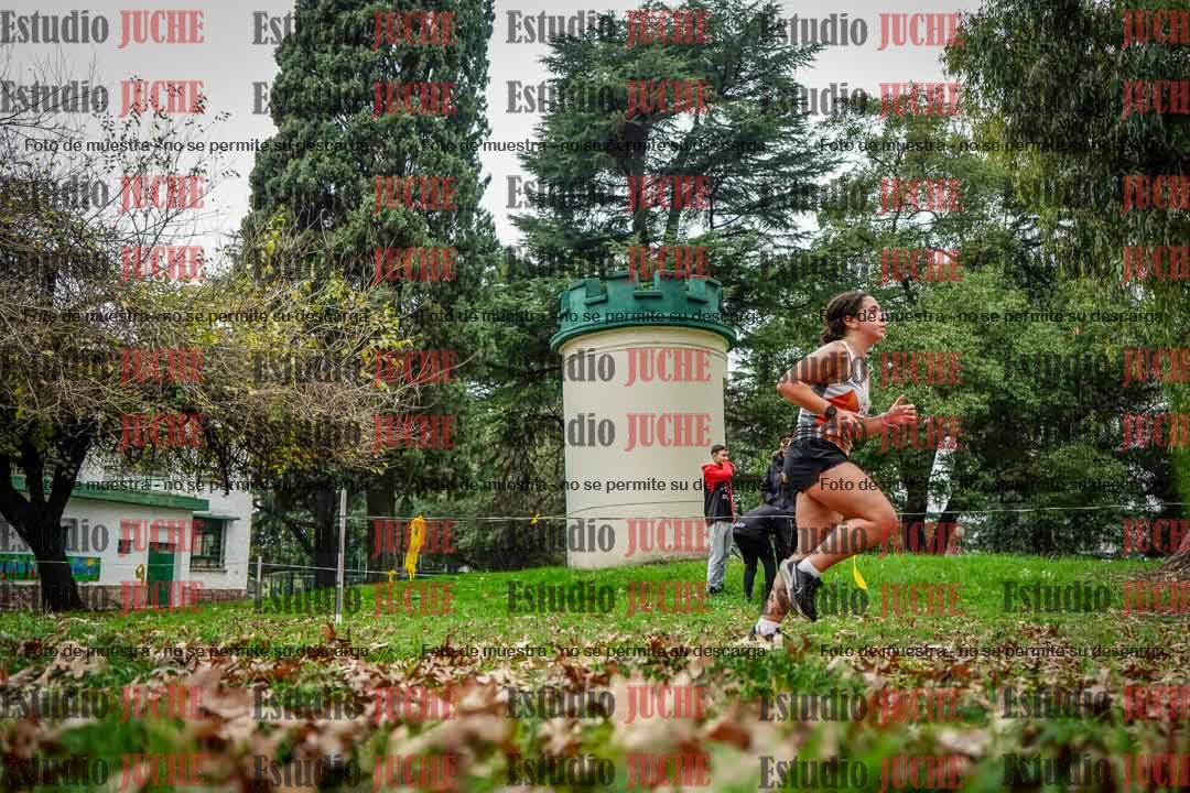 Fotos en el octavo punto del circuito