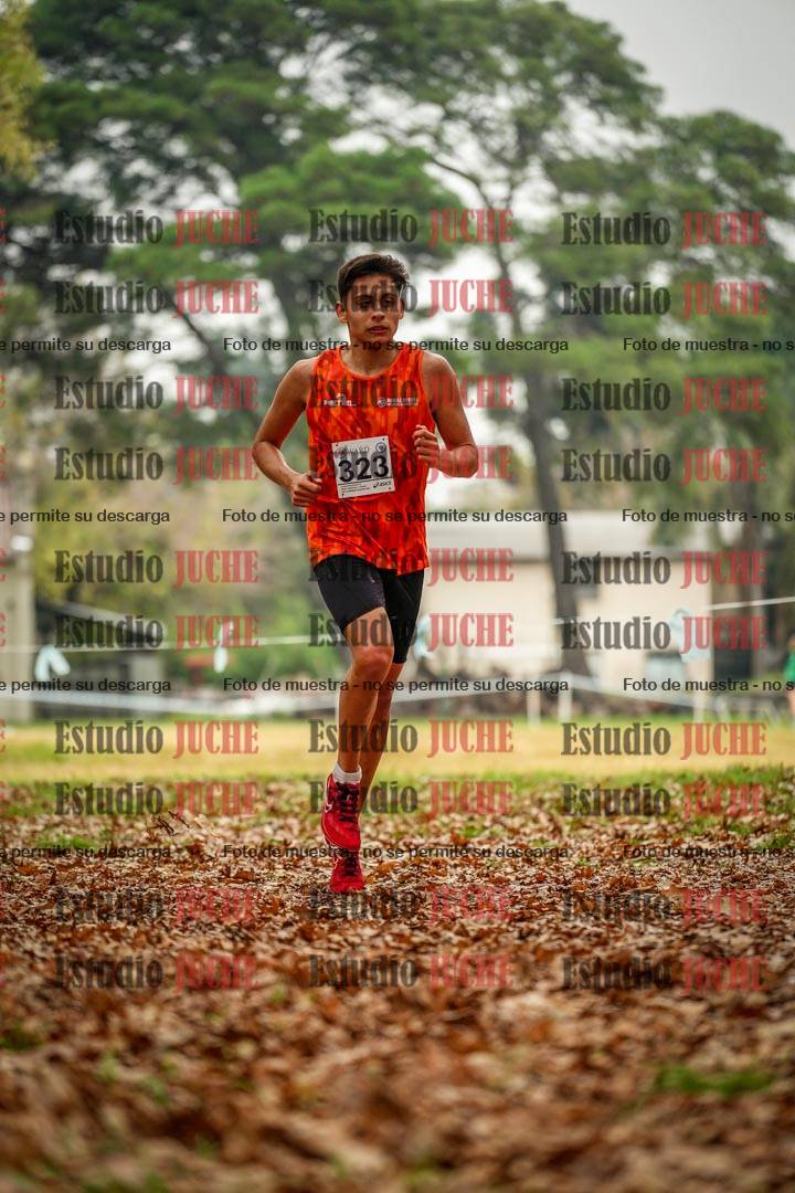Fotos en el noveno punto del circuito