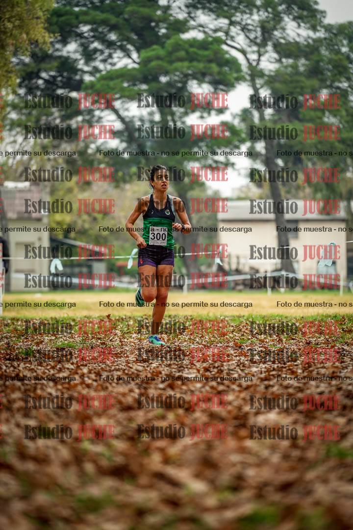 Fotos en el noveno punto del circuito