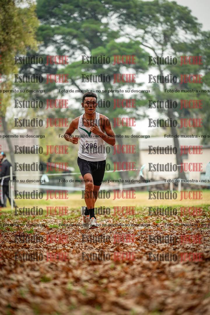 Fotos en el noveno punto del circuito