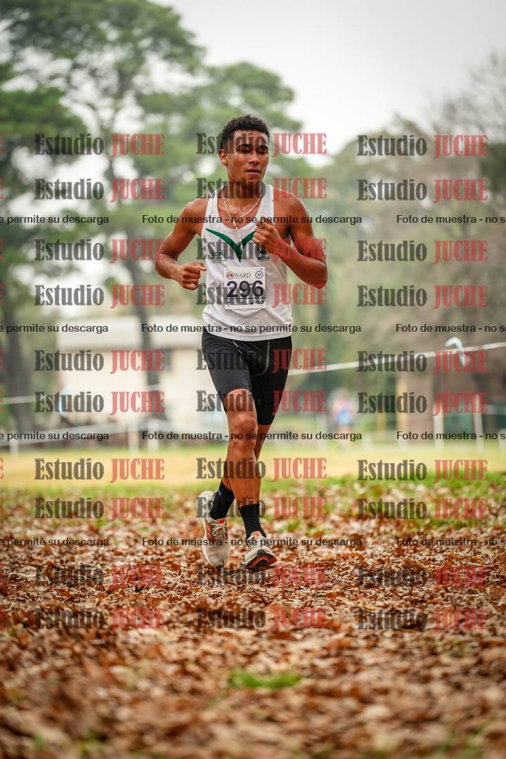 Fotos en el noveno punto del circuito