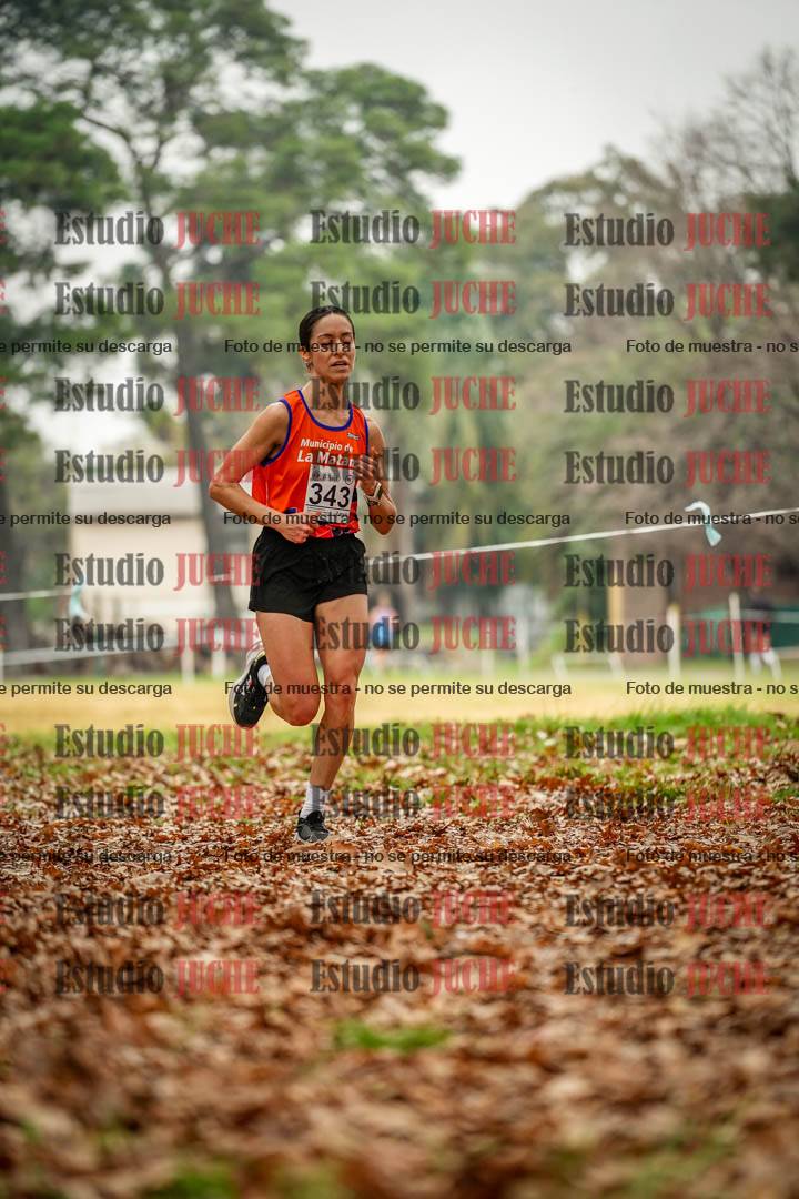 Fotos en el noveno punto del circuito