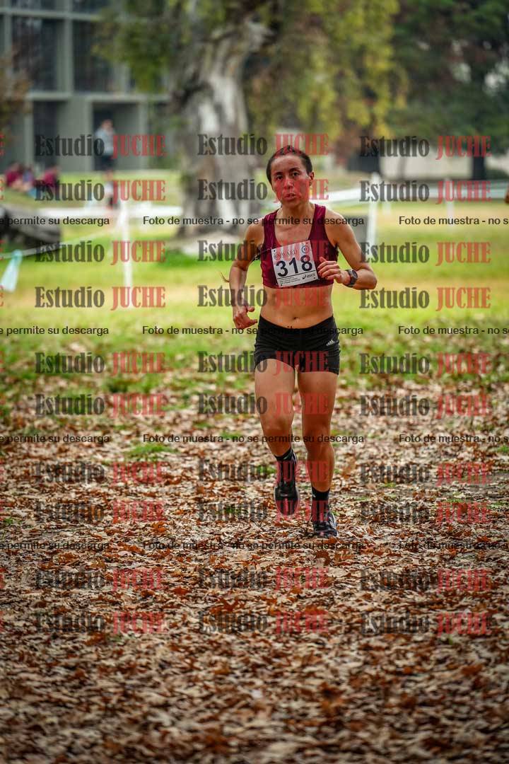 Fotos en el noveno punto del circuito