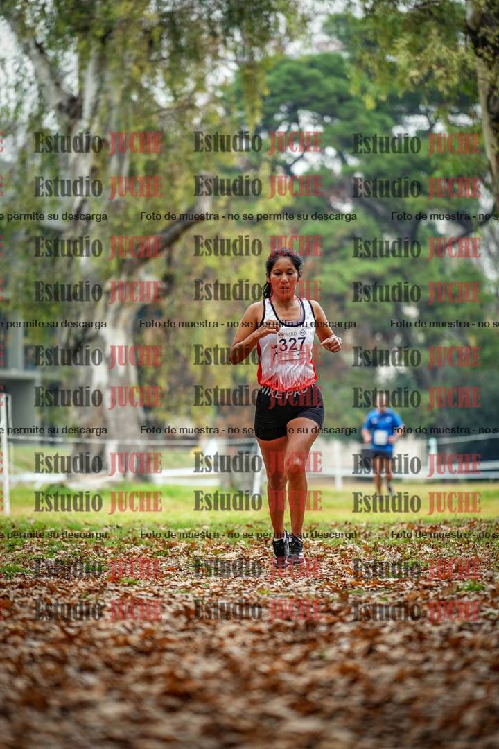 Fotos en el noveno punto del circuito