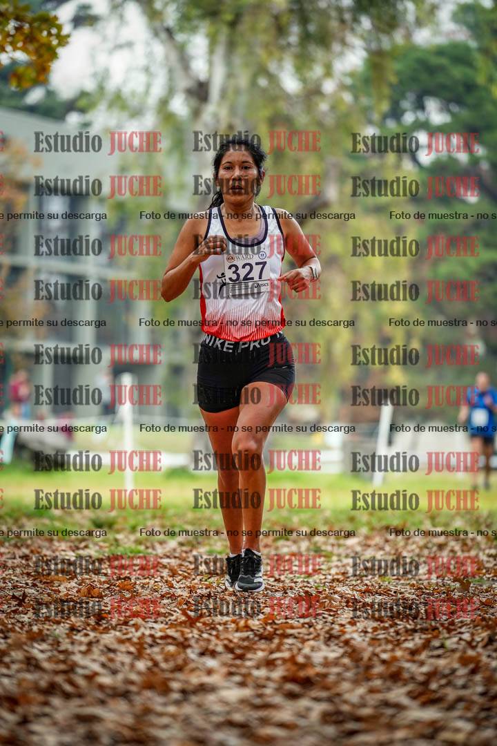 Fotos en el noveno punto del circuito