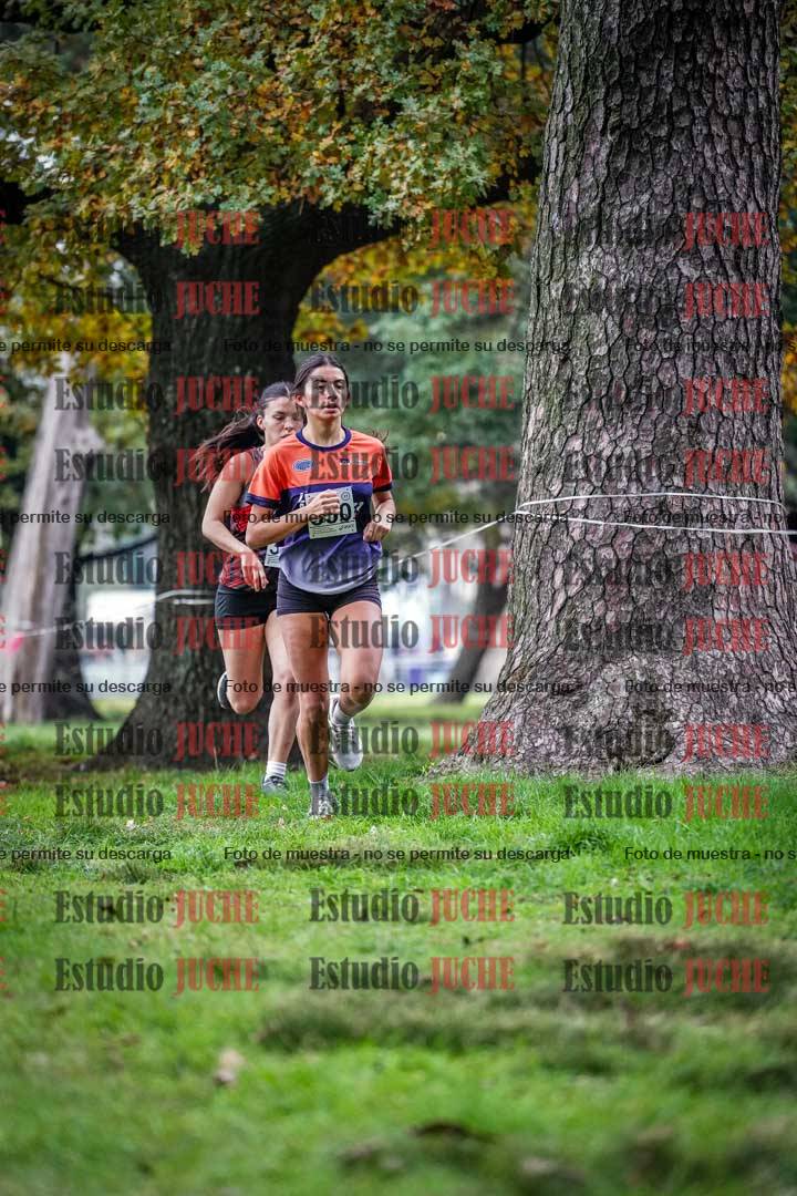 Fotos en el tercer punto del circuito