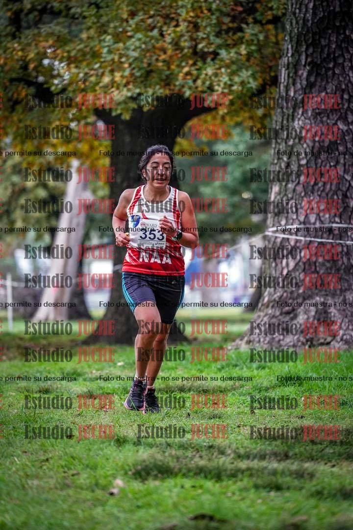 Fotos en el tercer punto del circuito