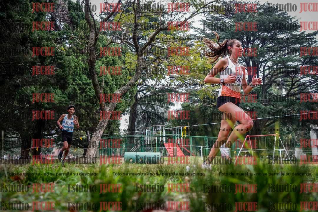 Fotos en el sexto punto del circuito