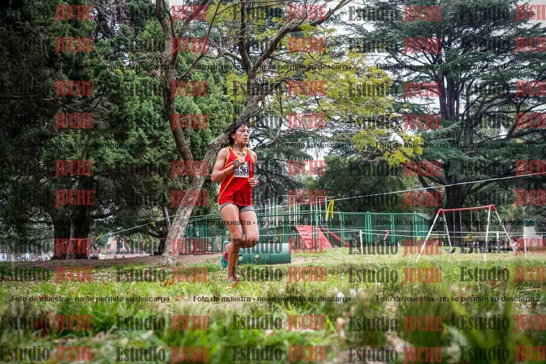 Fotos en el sexto punto del circuito