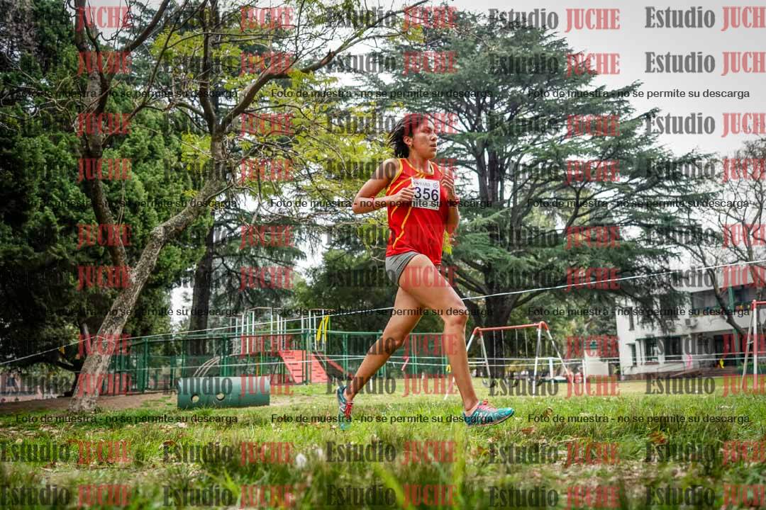 Fotos en el sexto punto del circuito