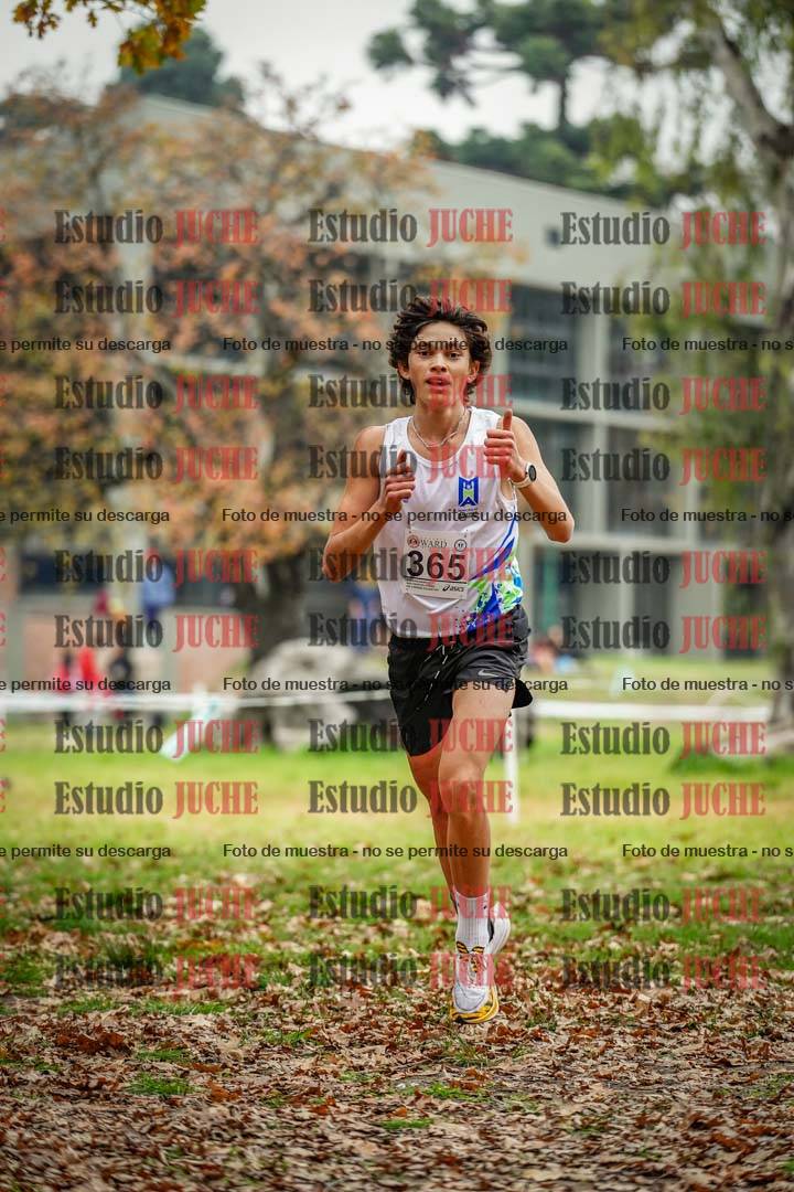 Fotos en el octavo punto del circuito