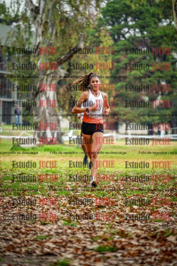 Fotos en el octavo punto del circuito