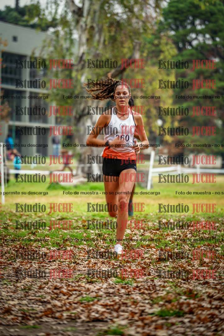 Fotos en el octavo punto del circuito