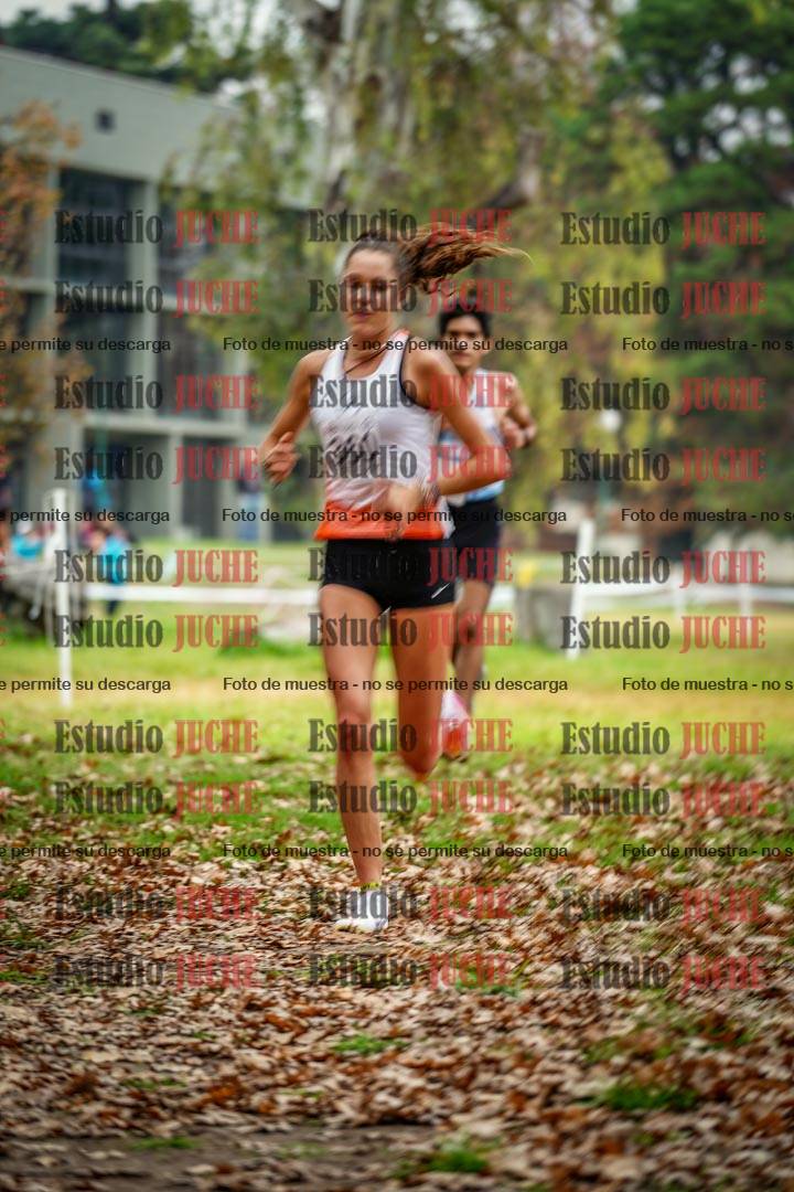 Fotos en el octavo punto del circuito