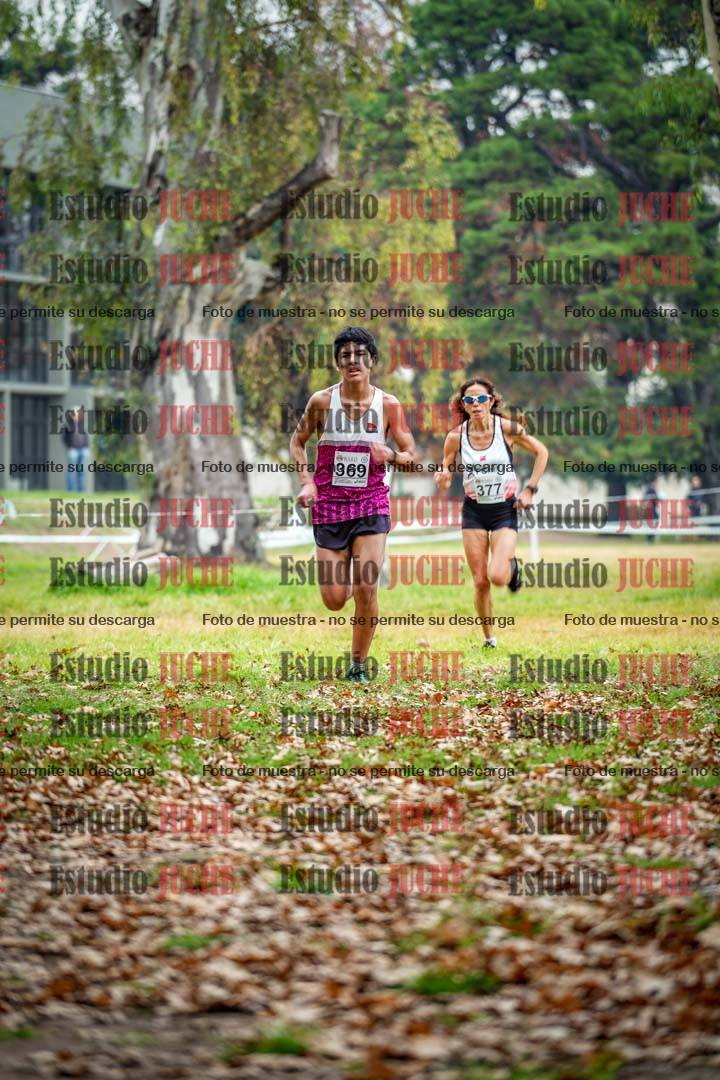 Fotos en el octavo punto del circuito