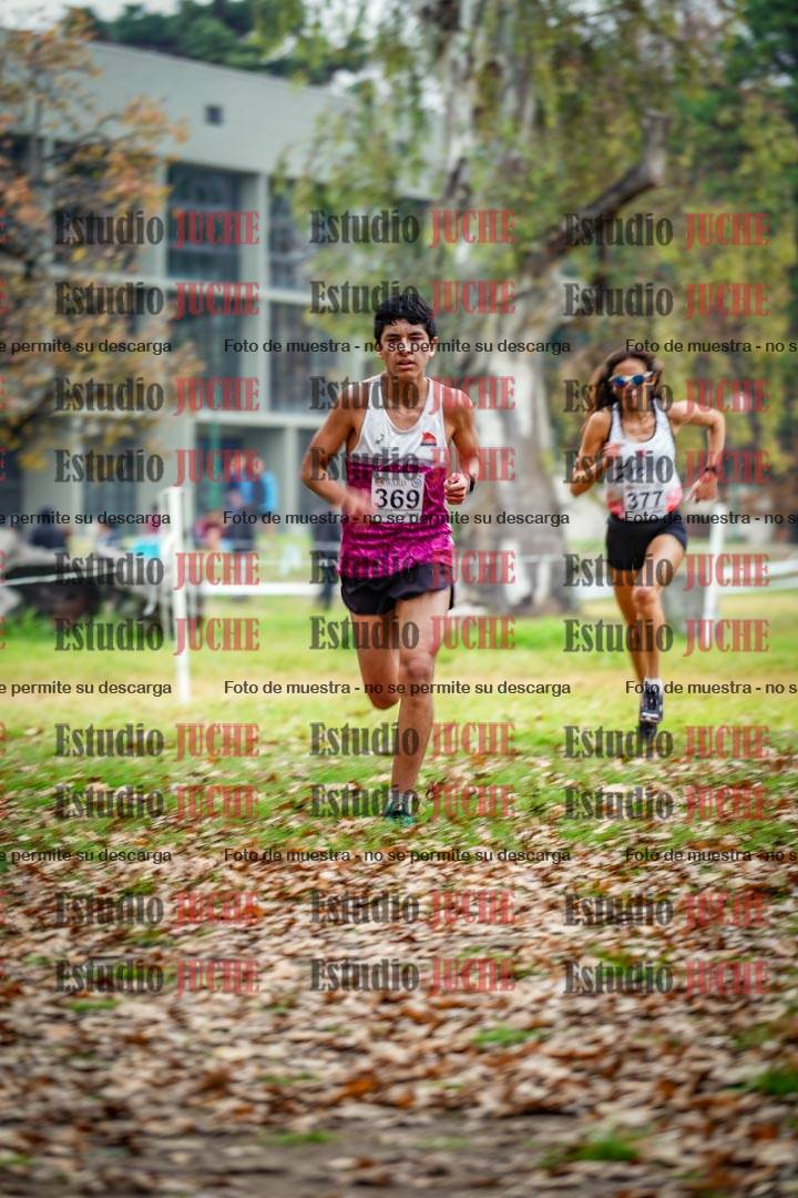 Fotos en el octavo punto del circuito