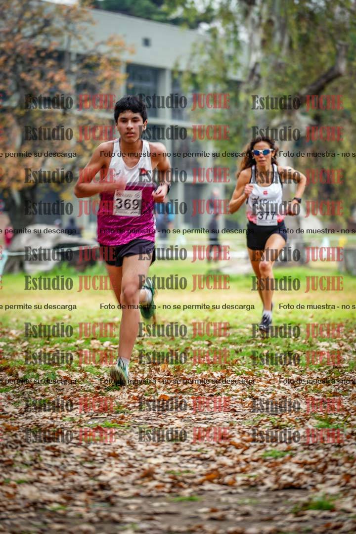 Fotos en el octavo punto del circuito