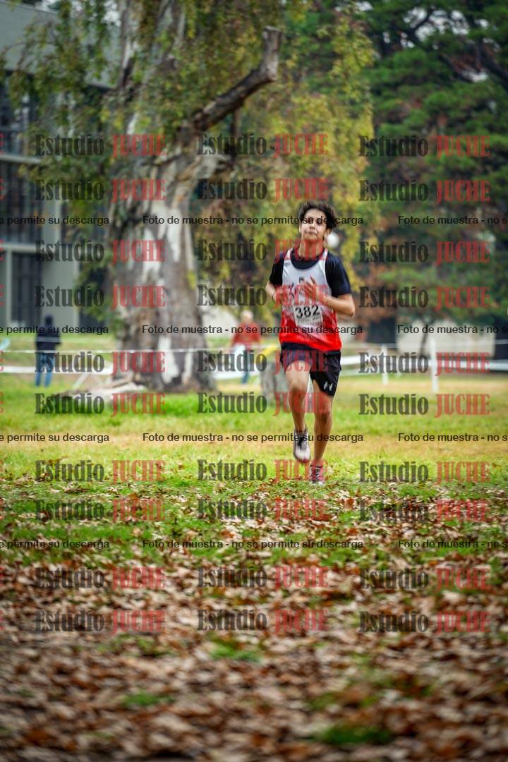 Fotos en el octavo punto del circuito