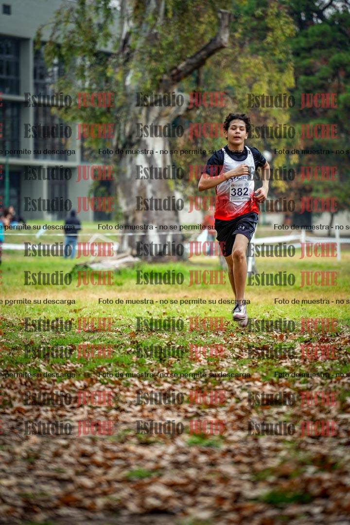 Fotos en el octavo punto del circuito