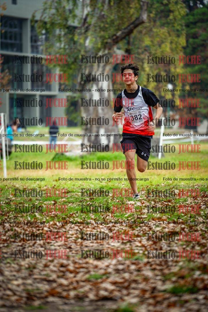Fotos en el octavo punto del circuito