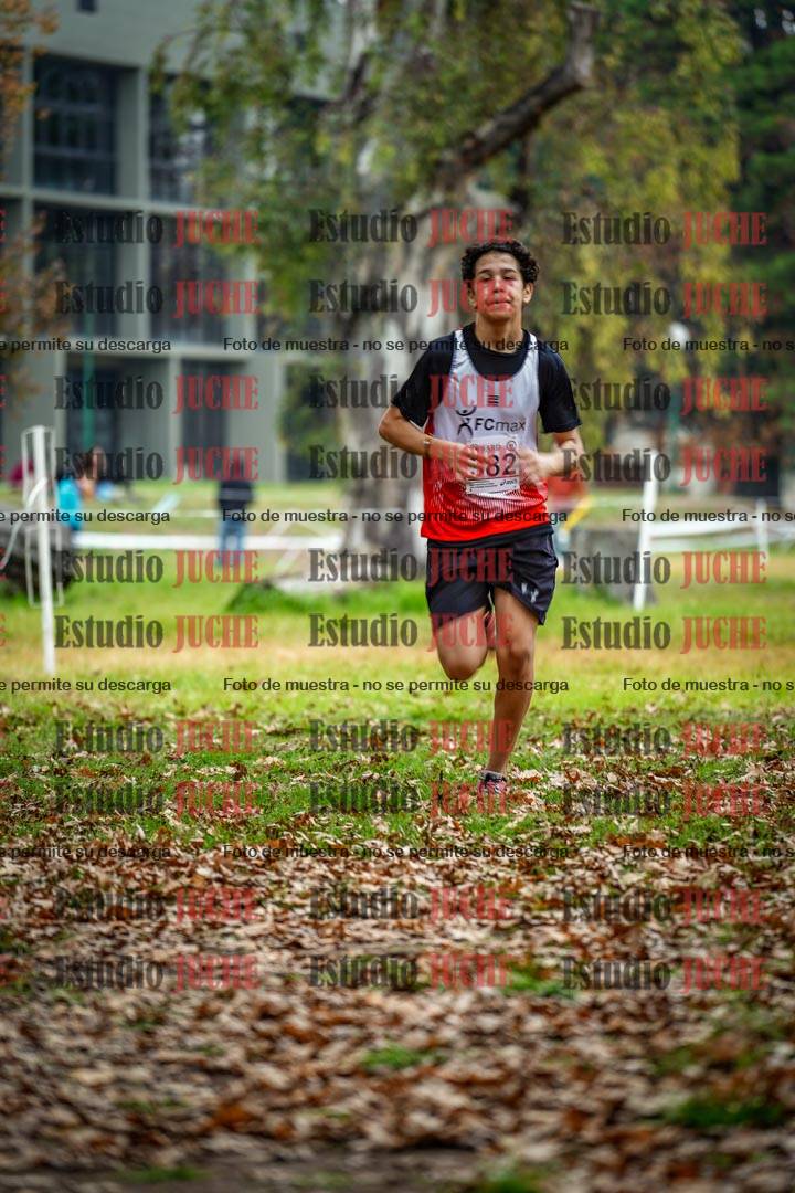 Fotos en el octavo punto del circuito