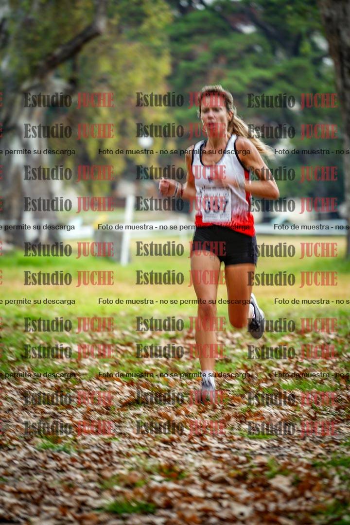 Fotos en el octavo punto del circuito