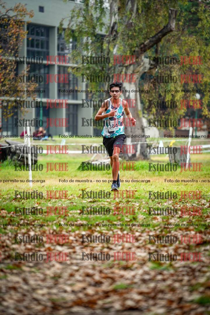Fotos en el octavo punto del circuito