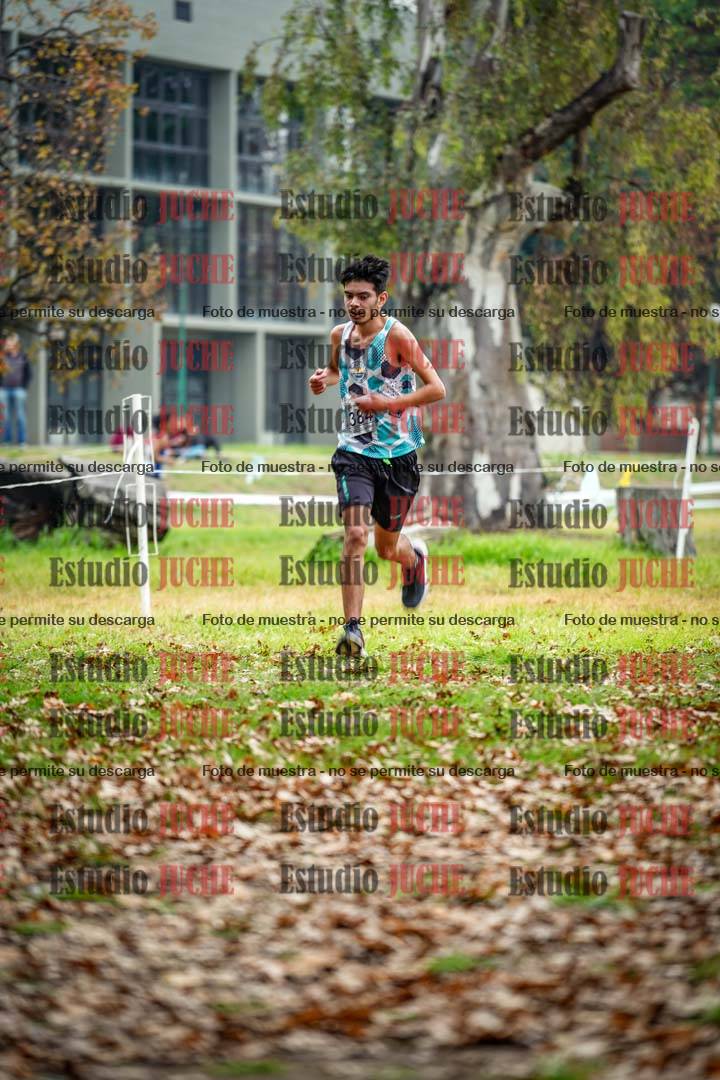 Fotos en el octavo punto del circuito