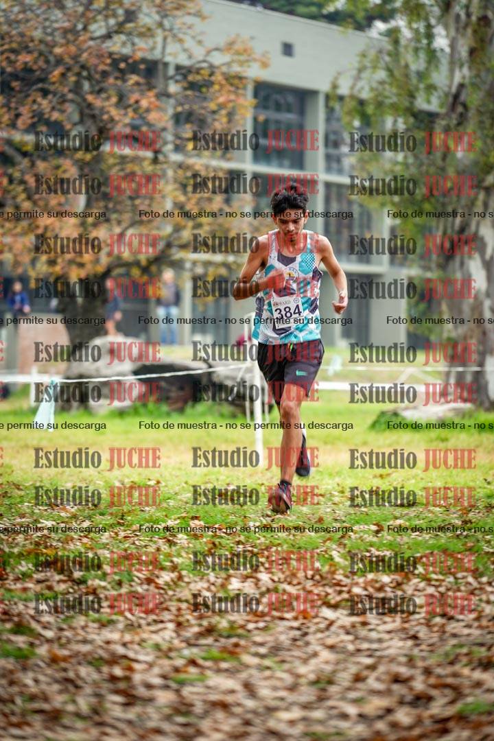 Fotos en el octavo punto del circuito