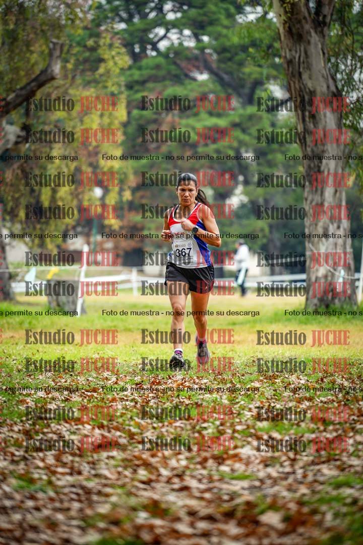 Fotos en el octavo punto del circuito