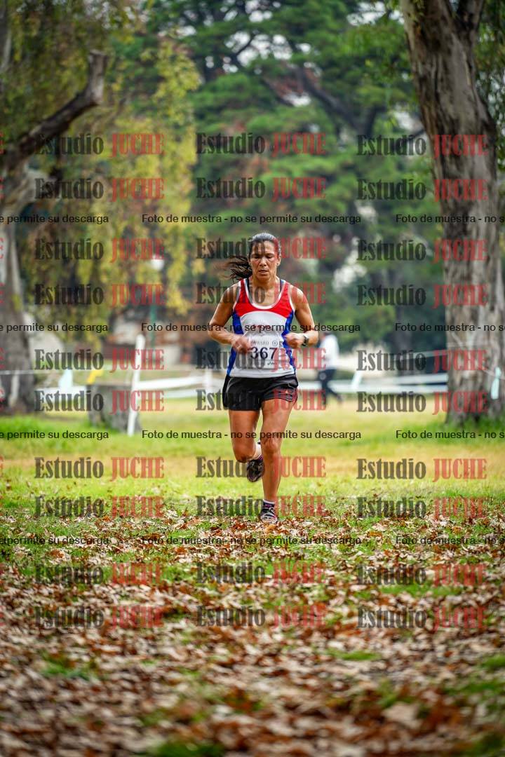 Fotos en el octavo punto del circuito